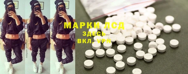 гидра Богородицк