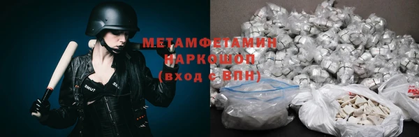 гидра Богородицк
