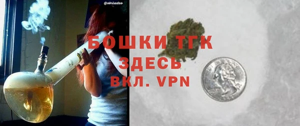 гидра Богородицк