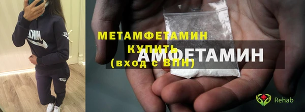 гидра Богородицк