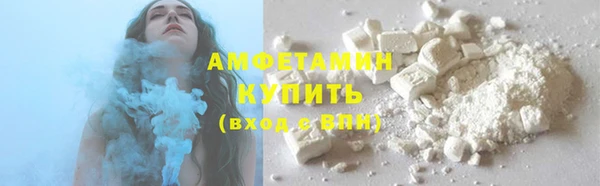 гидра Богородицк