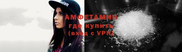 гидра Богородицк