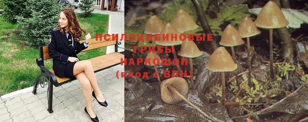 СК Богородск