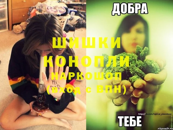 наркотики Богданович