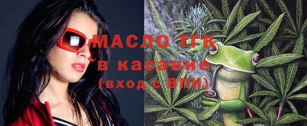 гидра Богородицк