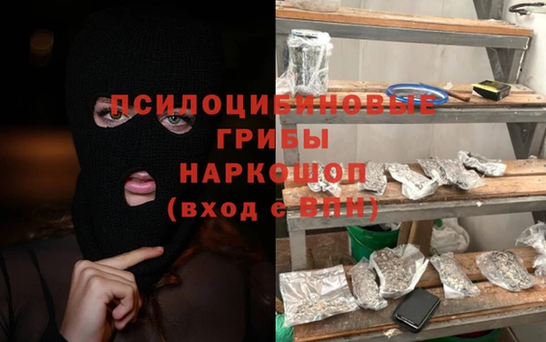 гидра Богородицк