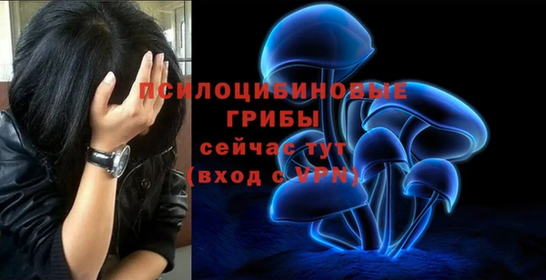 наркотики Богданович